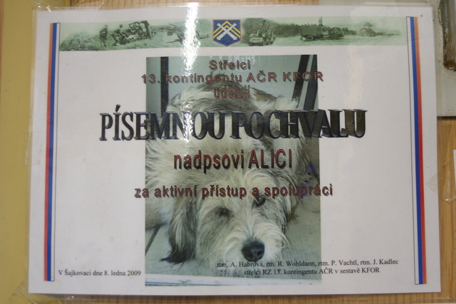  Alice za dobu své „služby“ na základně Šajkovac získala nespočet ocenění za svou věrnost