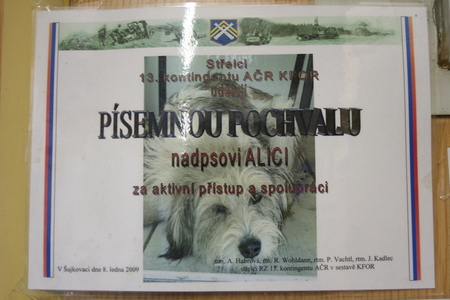  Alice za dobu své „služby“ na základně Šajkovac získala nespočet ocenění za svou věrnost