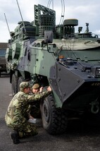 Aktivace a přesun české jednotky ze 41. mechanizovaného praporu držící pohotovost k posílení mnohonárodní alianční brigády na Slovensku.