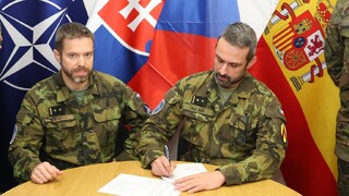 8. úkolové uskupení na Slovensku