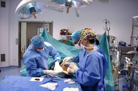 Osmička plní úkoly v Kábulu