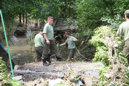 Pulling debris and tree trunks from the river