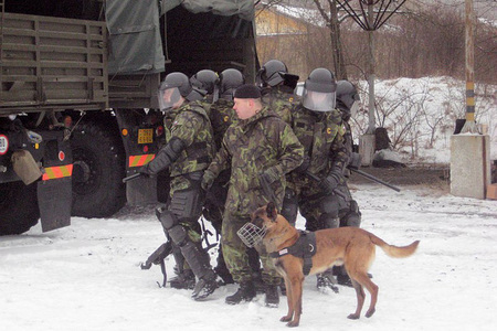 Training in Kosovo - Czech squad in a defence position supported with a dog, 2011
