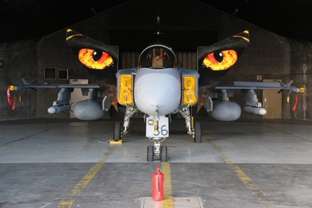 Vzdušný  prostor nad „ohnivým“ Islandem bude již příští týden brázdit „ohnivý tygr“ – český JAS-39 Gripen s polepem pod názvem „Fiery Tiger“ pro letošní mezinárodní cvičení NATO Tiger Meet 2016