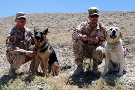 Čtyři hlavy, dvanáct nohou