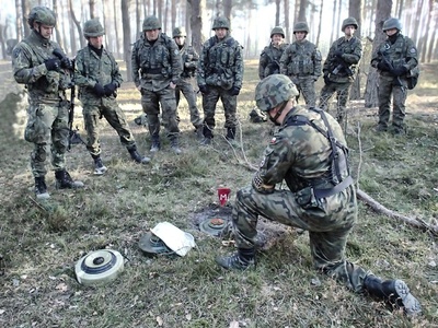 Polish and Czech paratroopers fight alike!