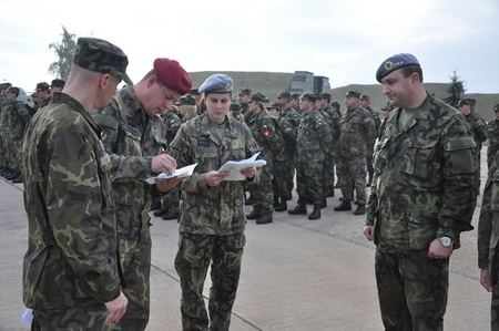 Czech NRF 2013 units activated to inspect readiness