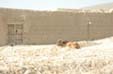 Logar 9