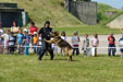 Pardubice - 5