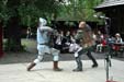 Fencing For Fun