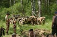 Military Historical Vehicles' Club members having a rest